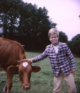 A friendly cow (sort of)