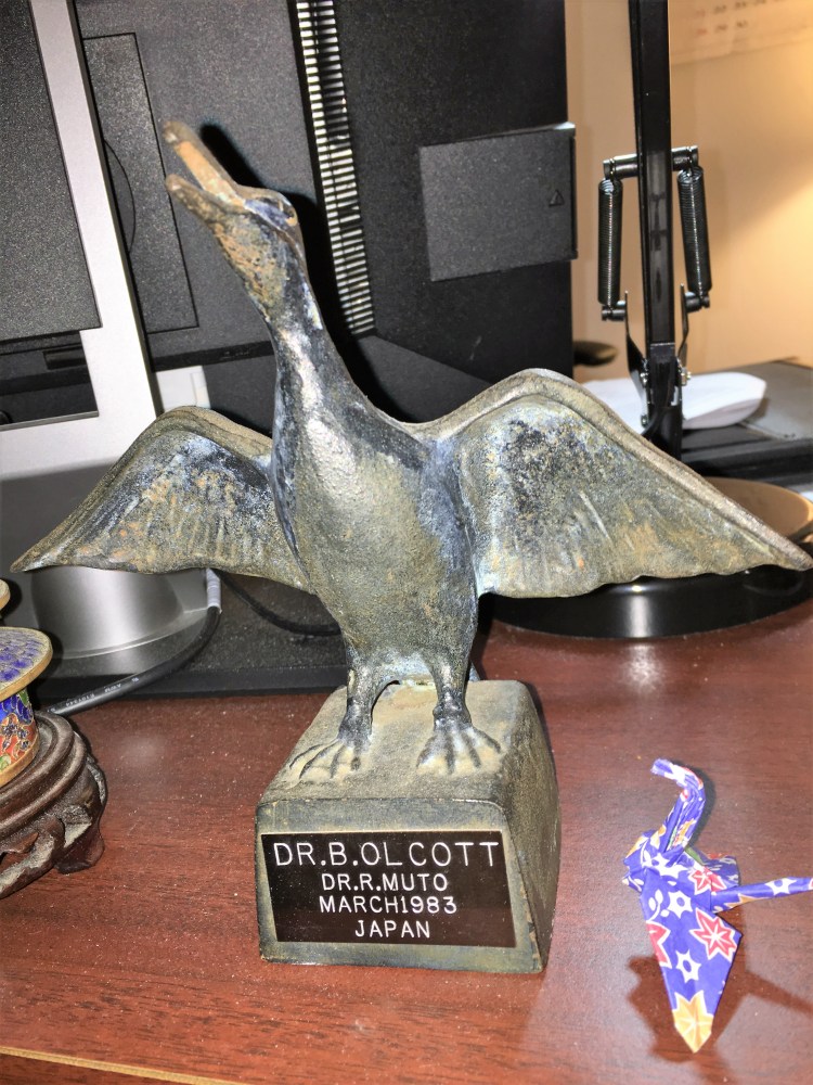 20151117_175453172_iOS