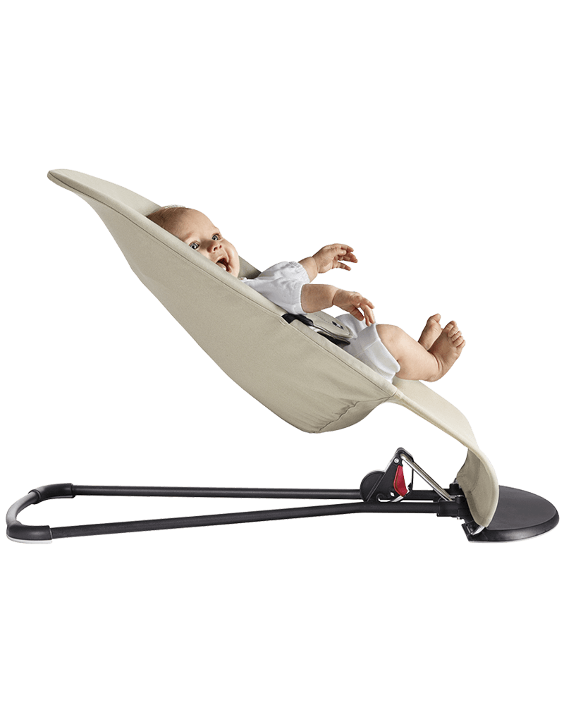 Bjorn baby bouncer